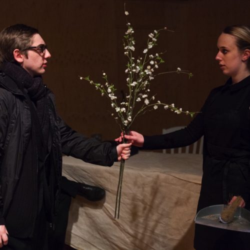 The Cherry Orchard